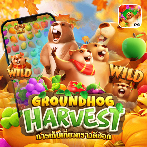 Groundhog Harvest slotxoking